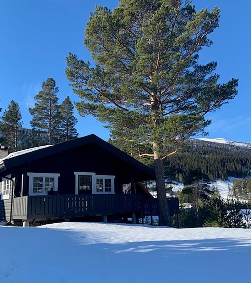 Uvdalhytta - Close To Cross Country And Downhill Skiing Sonstebo Exterior foto