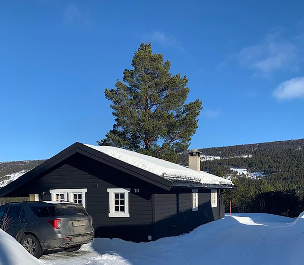 Uvdalhytta - Close To Cross Country And Downhill Skiing Sonstebo Exterior foto